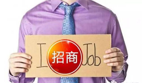 2020，招商承包 專業之刃，破局之道